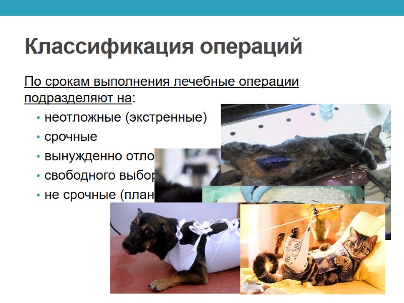 Классификация операций По срокам выполнения лечебные операции подразделяют на: неотложные (экстренные) срочные вынужденно отложенные